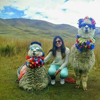 Sofia Jimenez's Photo