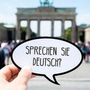 Sprechen Sie Deutsch?'s picture