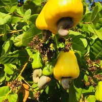 David Marcelo's Photo