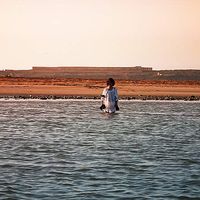 Chenqi Jiang's Photo