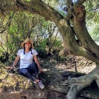 🍃Rosita Guzmán的照片