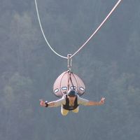 Rouzbeh Shafaei's Photo