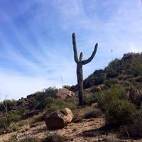 Rebecca Taylor's Photo