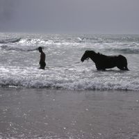 rachid ahmad的照片