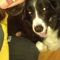 Mandy Chutskoff的照片