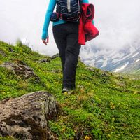 Sawsan Qamhieh's Photo