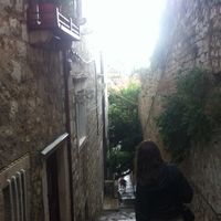 Anna Freimannova的照片