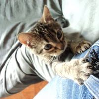 Laura Moncada的照片