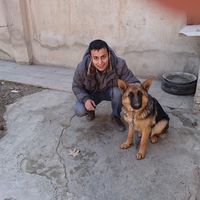 Amirhosein Mohammadi's Photo