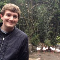 Jared Brickman's Photo