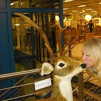 Anja Zentara's Photo