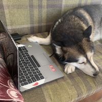 Hatem Moghazy's Photo