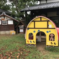 Фотографии пользователя Mai Lưu