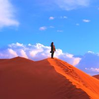 Sujeong K.fish's Photo