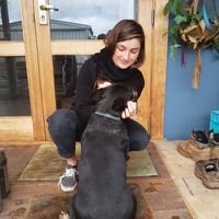 Alison Veron的照片