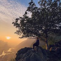 Anh Dung Tran's Photo