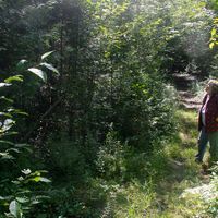 France Lamontagne的照片