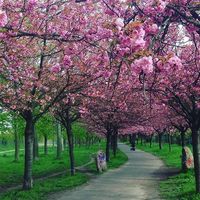 HanHann Butet D's Photo