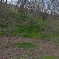 Photos de Patrik Bolgár