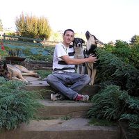 cesar Angeriz的照片