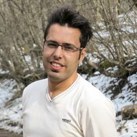 Yaser Nozari's Photo