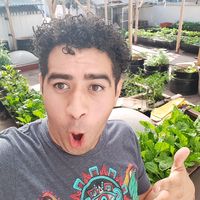 alejandro Palacios的照片