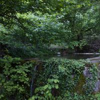 Uludag Orman Ciftligi ( Uludag Forest Farm )'s Photo