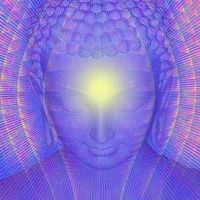 Photos de BABAJILOVEE