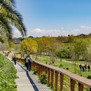 Picnic Internazionale Di Primavera🌸's picture