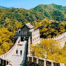 China Tour's picture