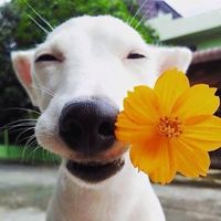 Khuê Dương's Photo