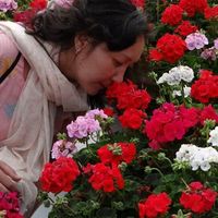 Gulzat Maichinova的照片