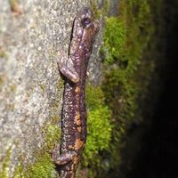 Raoul Manenti's Photo