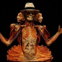 Néstor Rico Villamizar的照片