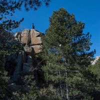 Fotos de Ruben Llamas Bardon