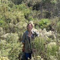 Sarai Gonzalez Gatti的照片