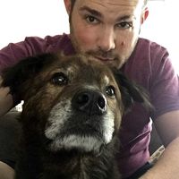 Craig Mestel's Photo