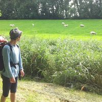 Photos de Reinis Krēsla