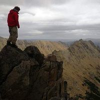 Tom Crowther's Photo