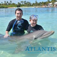 Felix Berinde的照片