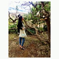 Victoria Etn的照片