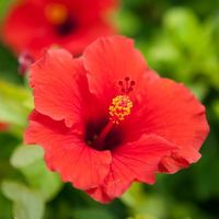 Vincent Orzalesi's Photo