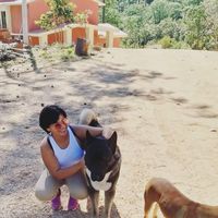 Fotos de Mine Margaritum