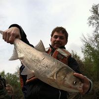 Henrik Sundberg's Photo