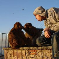 Aden Williamson的照片