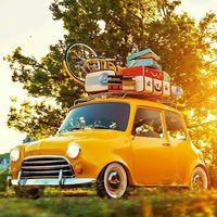 Фотографии пользователя Zlm  ak