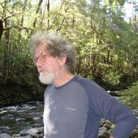 Tony Hawkins的照片