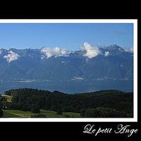 Delphine Moreillon's Photo