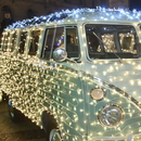 🎄✨ Christmas Magic & Twinkle Light Cruise🎄✨'s picture