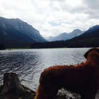 Taylor Benoit's Photo